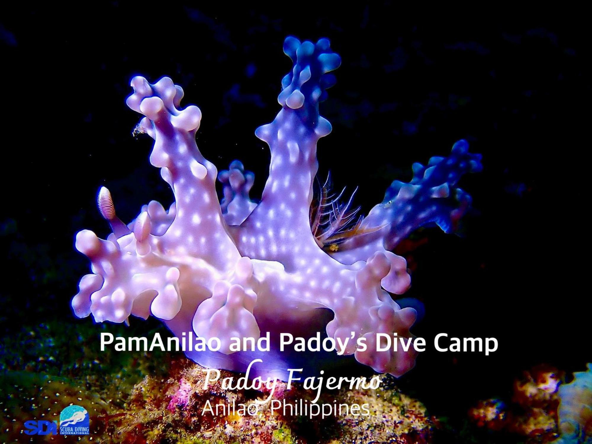 ホテル Pamanilao And Padoy'S Dive Camp バタンガス エクステリア 写真
