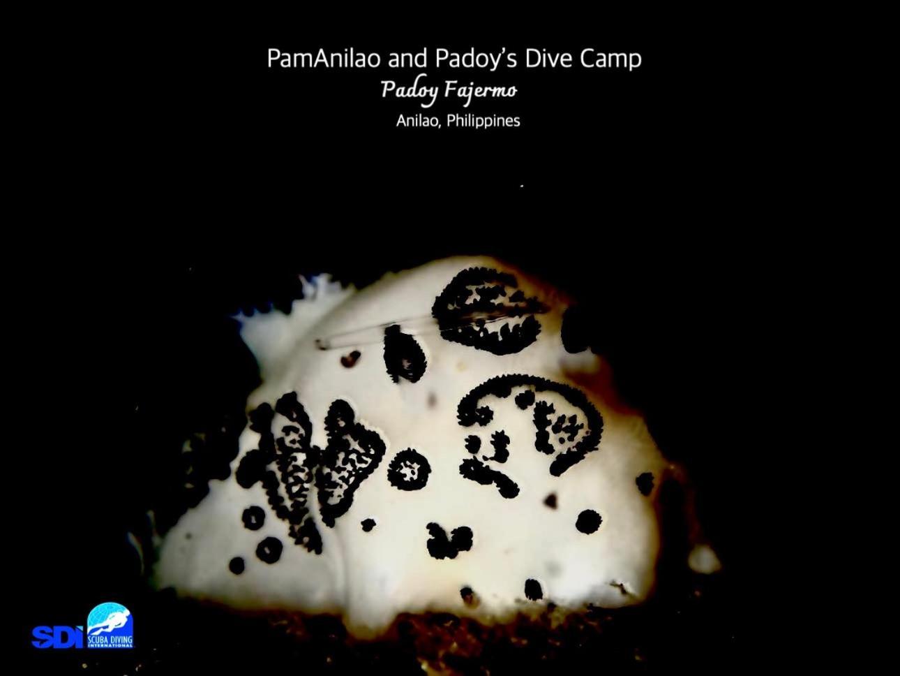 ホテル Pamanilao And Padoy'S Dive Camp バタンガス エクステリア 写真