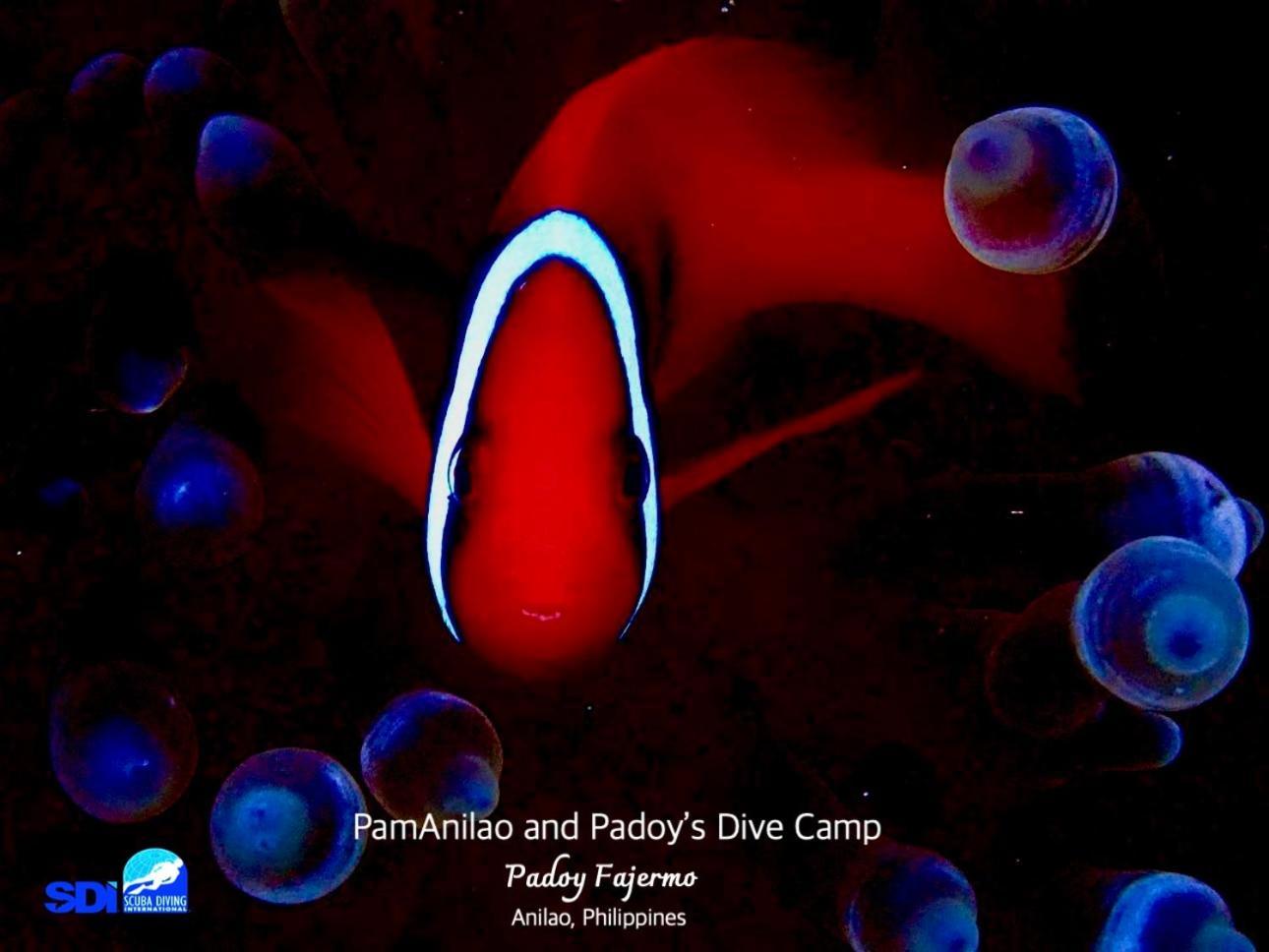 ホテル Pamanilao And Padoy'S Dive Camp バタンガス エクステリア 写真