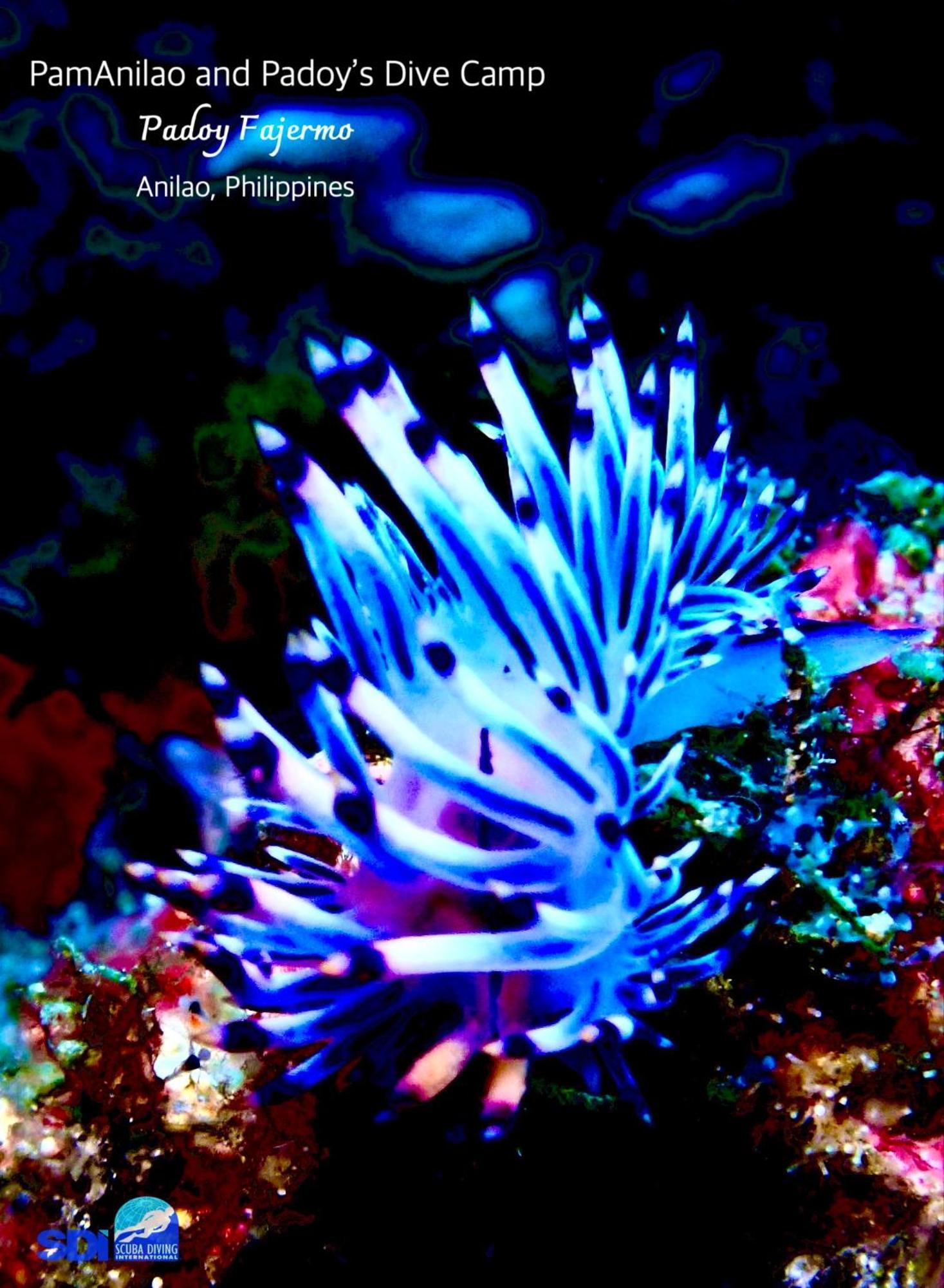 ホテル Pamanilao And Padoy'S Dive Camp バタンガス エクステリア 写真